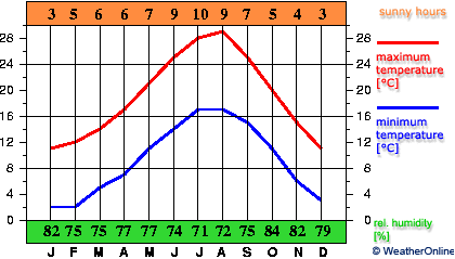 Pisa